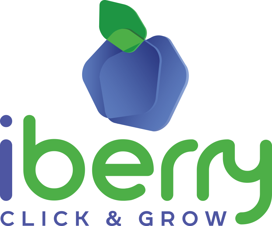 iBerry - iPhone XR Passcode Bypass Full Signal iOS17-27